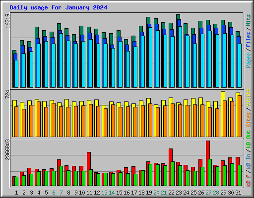 Daily usage for January 2024