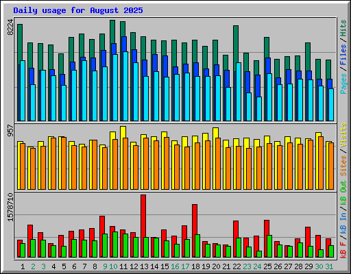 Daily usage for August 2025