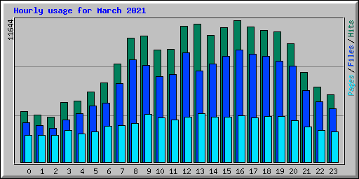 Hourly usage for March 2021