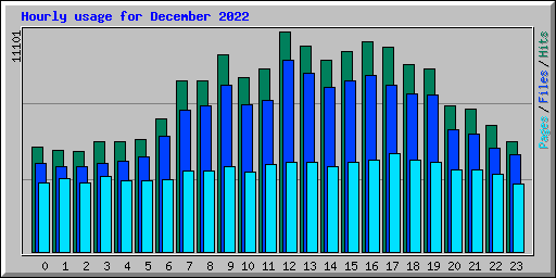 Hourly usage for December 2022