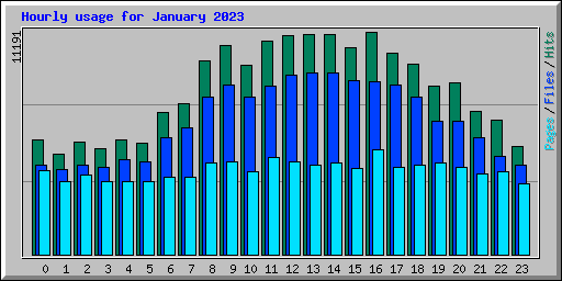 Hourly usage for January 2023