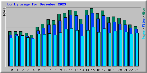 Hourly usage for December 2023