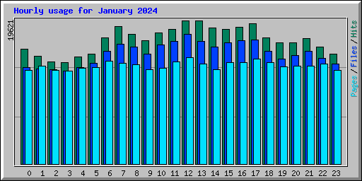 Hourly usage for January 2024