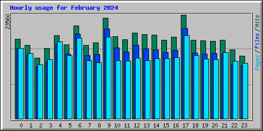 Hourly usage for February 2024