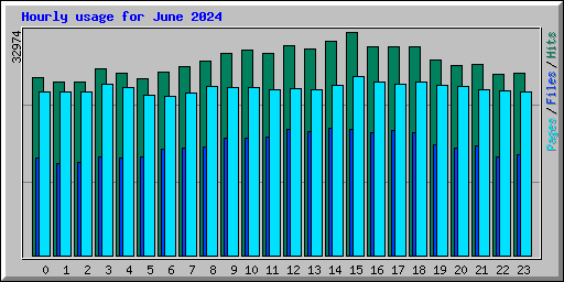 Hourly usage for June 2024