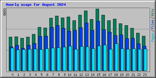 Hourly usage for August 2024