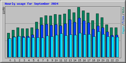 Hourly usage for September 2024