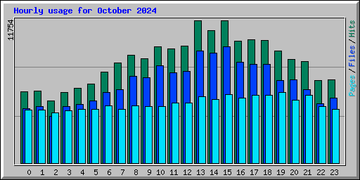 Hourly usage for October 2024