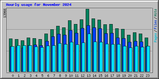 Hourly usage for November 2024