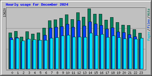 Hourly usage for December 2024