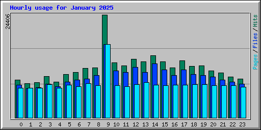 Hourly usage for January 2025