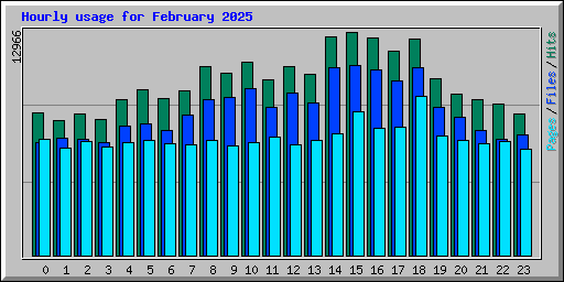 Hourly usage for February 2025