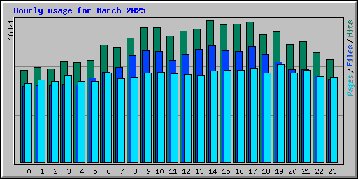 Hourly usage for March 2025