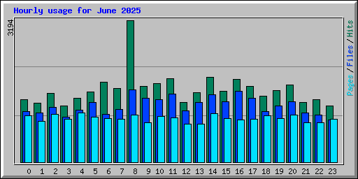 Hourly usage for June 2025
