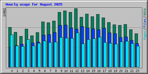 Hourly usage for August 2025