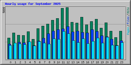 Hourly usage for September 2025