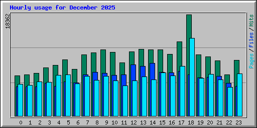 Hourly usage for December 2025