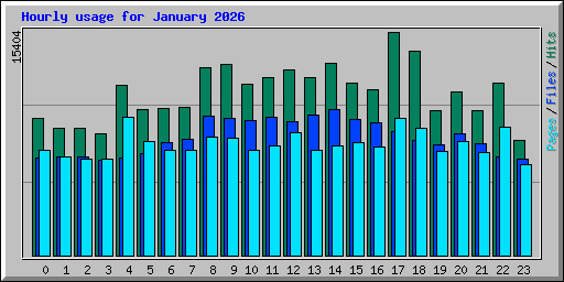 Hourly usage for January 2026