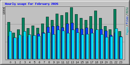 Hourly usage for February 2026
