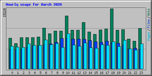 Hourly usage for March 2026