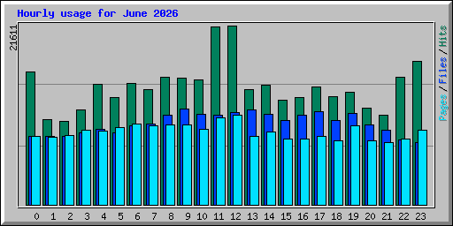 Hourly usage for June 2026