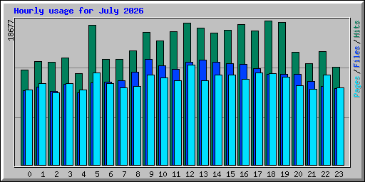 Hourly usage for July 2026