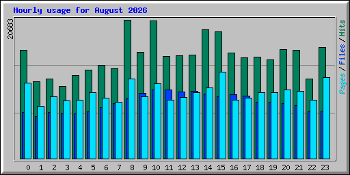 Hourly usage for August 2026